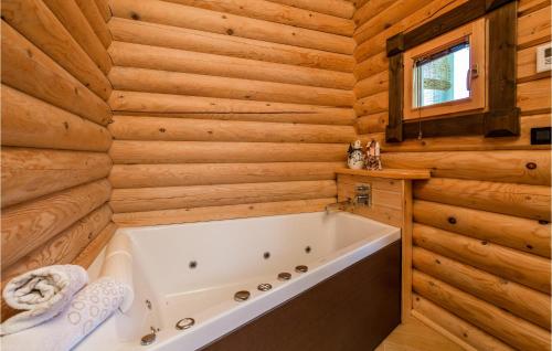 Stunning Home In Ravna Gora With Sauna