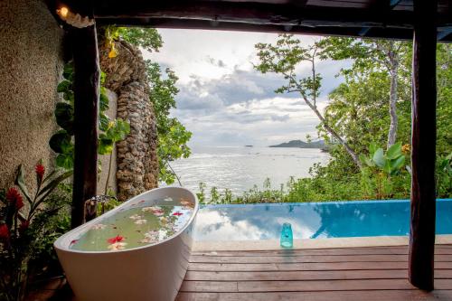 View, Savasi Island Resort in Savusavu