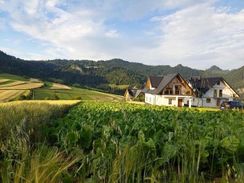 Buitenkant, Domek/apartament Przekop in Sromowce Nizne