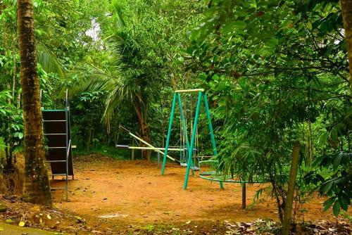 Shibi's Tea Garden Heritage – Wayanad District, KS