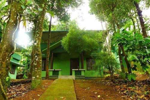 Shibi's Tea Garden Heritage – Wayanad District, KS