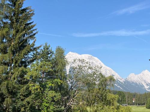 Weidach Bergblick