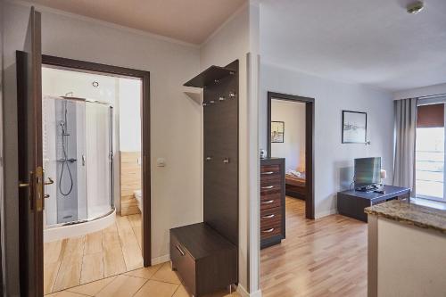 One-Bedroom Apartment image 9