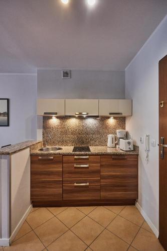 One-Bedroom Apartment image 8
