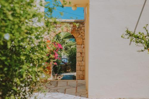 Creta Vitalis - image 8