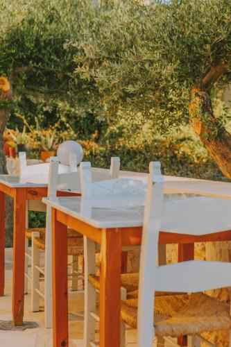 Creta Vitalis - image 4