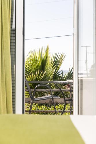 Creta Vitalis - image 6
