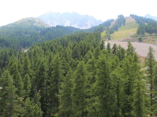 Appartement Vars 1 pièce 5 personnes - FR-1-330B-59 - image 4