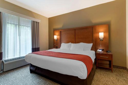 Comfort Suites Kingsport - Hotel