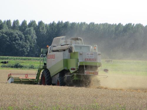 B&B Boerderij Wijtvliet