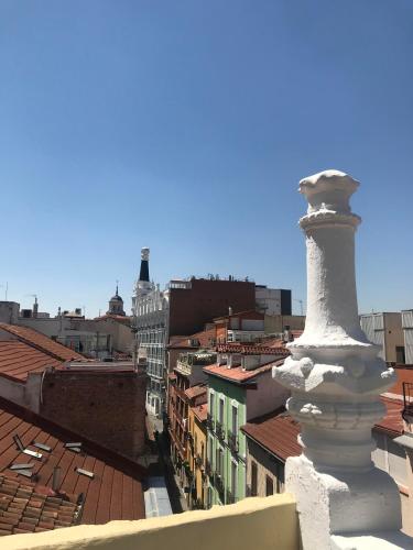Madrisol - image 12
