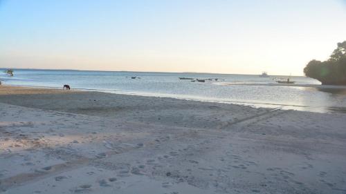 plaża, Arnoldis Family Bungalow Sansibar in Selem