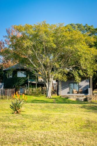 Rorkes Drift Lodge Rorkes Drift Lodge