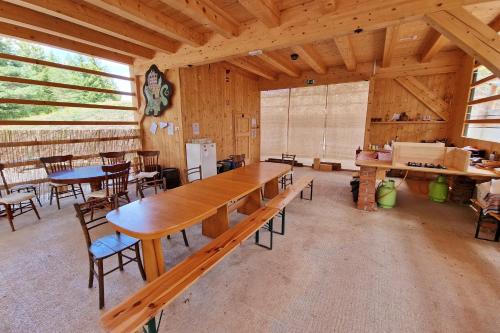 Kamp Beli gaber in Markovec