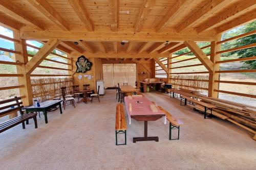 Kamp Beli gaber in Markovec