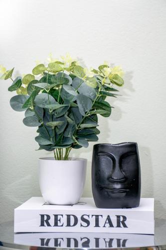 Rorkes Drift Lodge Rorkes Drift Lodge