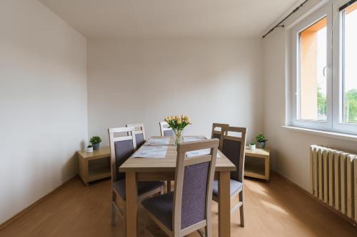 Horský apartmán Temari 8 Klínovec