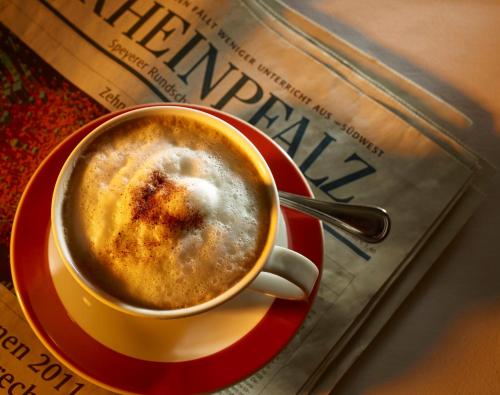 Hotel Lösch Pfälzer Hof - image 6