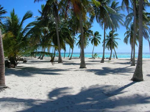 plage, Caraibidamari in Bayahibe
