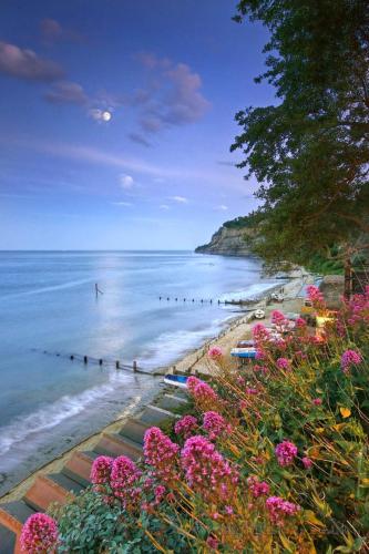 Beautiful Barn Conversion, 3 Bed, hot tub, sauna, gym, enclosed garden in Havenstreet