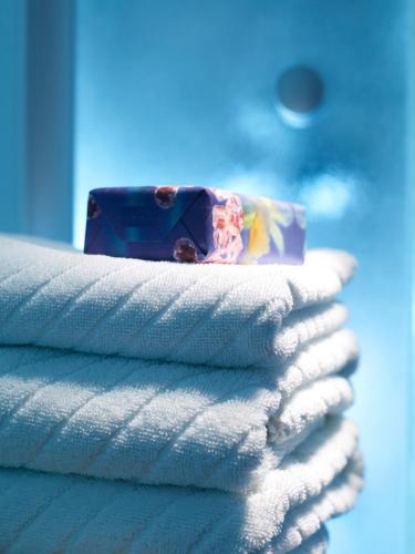 Hotel Lösch Pfälzer Hof - image 14