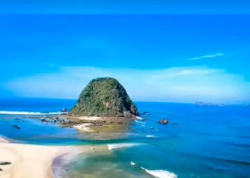 Shanum Homestay Pulau merah photo