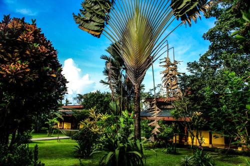 Catarata Eco Lodge