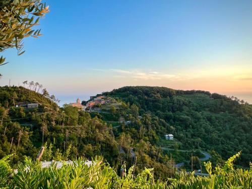 Incanto, Vernazza (Foto 8)