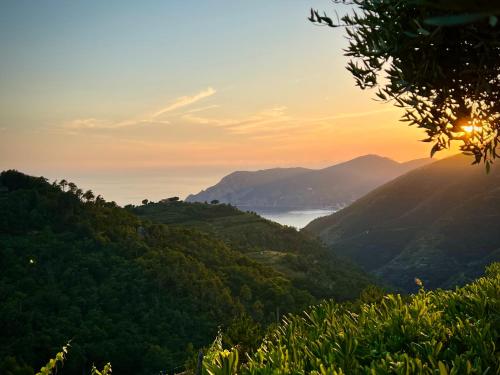 Incanto, Vernazza (Foto 9)