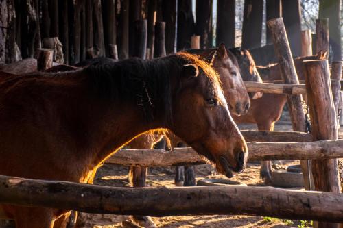 Rorkes Drift Lodge Rorkes Drift Lodge