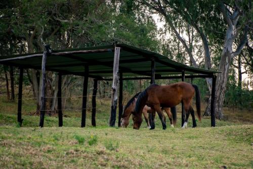 Rorkes Drift Lodge Rorkes Drift Lodge