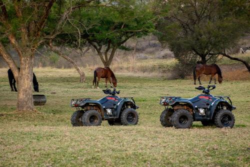 Rorkes Drift Lodge Rorkes Drift Lodge
