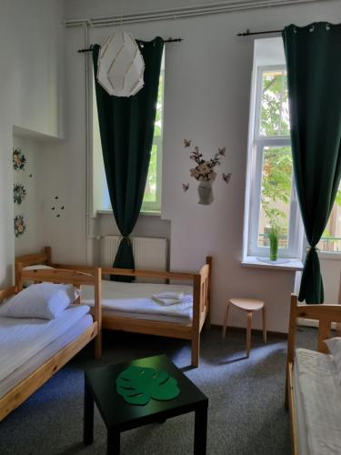 Green Cat Rooms 3