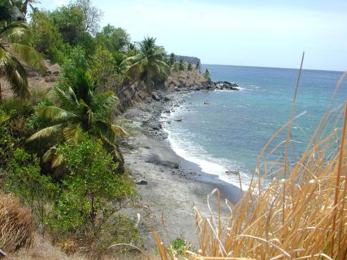 ชายหาด, The Pink House in ชัวเซิล