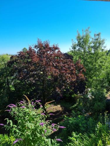 Location saisonniere appartement situe a Saumur in Saint-Hilaire-Saint-Florent