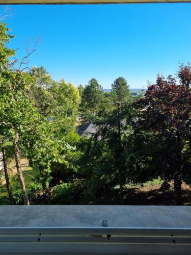 Location saisonniere appartement situe a Saumur in Saint-Hilaire-Saint-Florent
