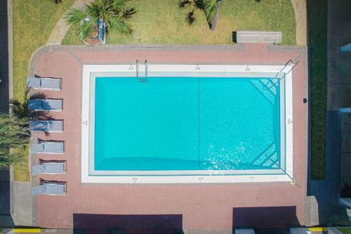 The Flamingo Hotel & Tower - 수영장