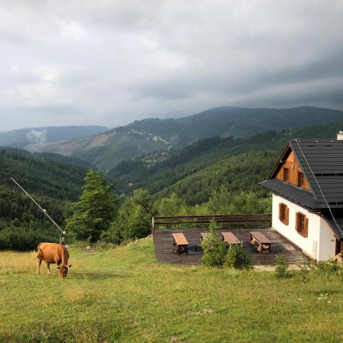 Chata Marguška - U Fera - Chalet - Oščadnica