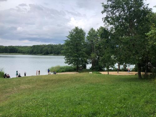 Domki Trzy in Krživonoga