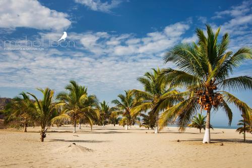 strand, Amotape Comfort near Capitán FAP Pedro Canga Rodríguez Airport