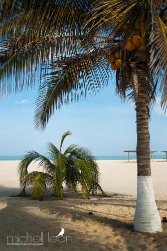 Uitzicht, Amotape Comfort near Capitán FAP Pedro Canga Rodríguez Airport