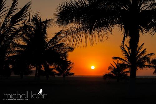 strand, Amotape Comfort near Capitán FAP Pedro Canga Rodríguez Airport