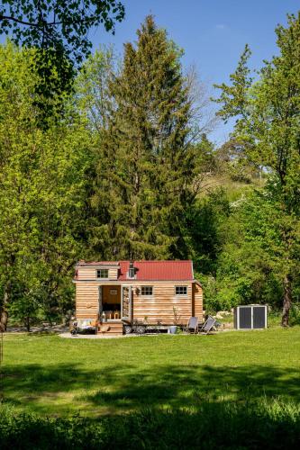 B&B Calden - Grimmwald Tiny House - Bed and Breakfast Calden