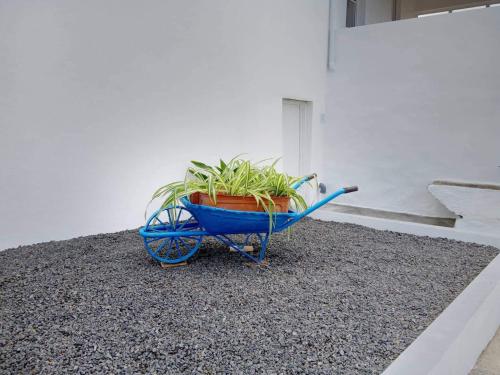 บริการและสิ่งอำนวยความสะดวก, Casa do Marcelino Lagarto in ซานโต อันโตนิโอ