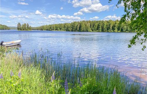 playa, Gorgeous Home In Ludvika With Sauna in Ludvika