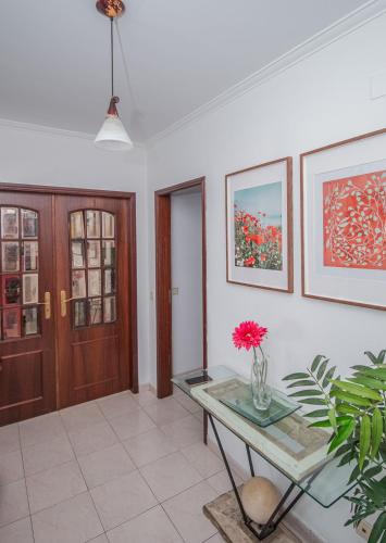 Charming Private Rooms in an Apartment A2 Penha - Faro