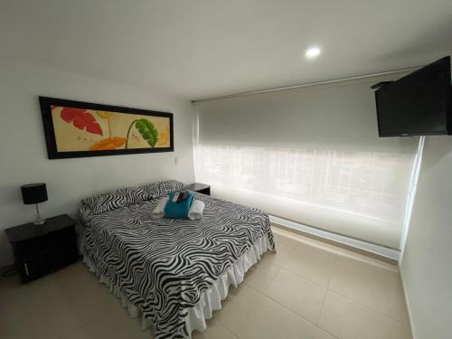 Lindos apartaestudios y habitaciones en Ibague