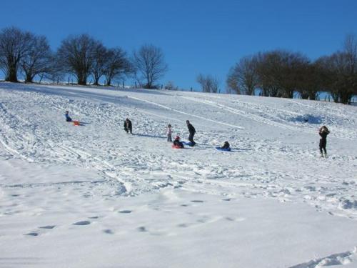 Chalet Saint-Nabord 4 pièces 6 personnes - FR-1-589-255 - main image