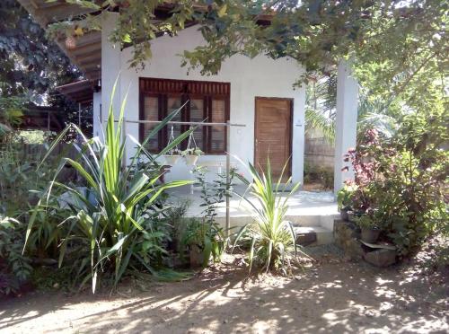 One-Bedroom House image 8