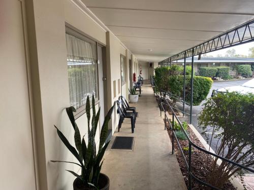 Buitenkant, Ben Hall Motor Inn near Luchthaven Forbes